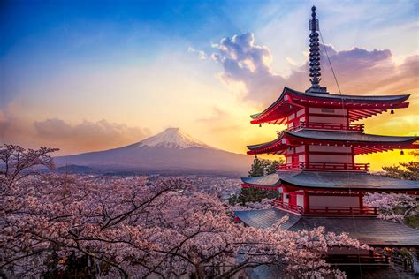 Japan Spring Photo Tour 2023 ⛩️ Sakura Cherry Blossom