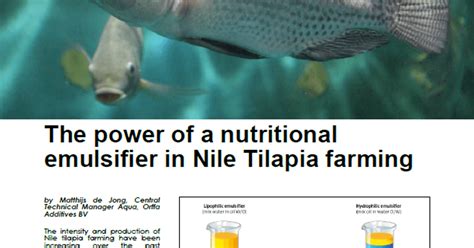 The Power Of A Nutritional Emulsifier In Nile Tilapia Farming Orffa