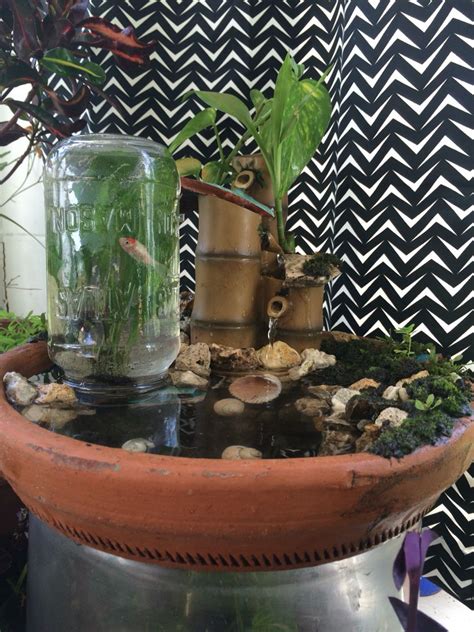 How to build an indoor fountain? Diy mini moss pond with elevated fish habitat. | Indoor water garden, Diy pond, Container water ...