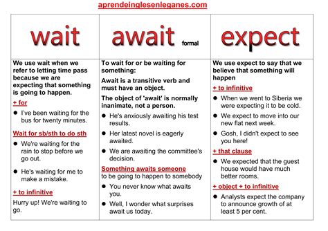 wait vs await vs expect english vocabulary words learning learn english words english sentences