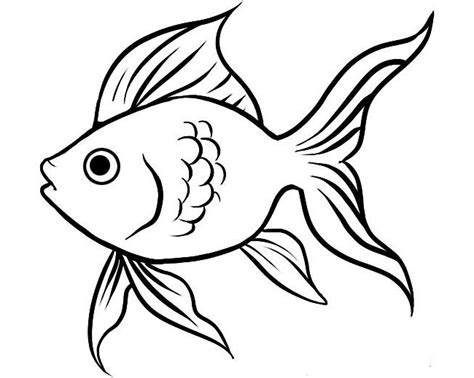 Fish Drawing Outline At Getdrawings Free Download