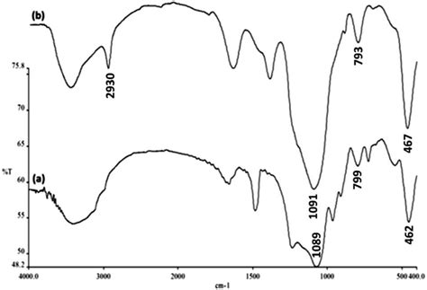 Ftir Spectra Of A Feni 3 Dfns Mnps And B Gmsi Feni 3 Dfns Mnps Download Scientific Diagram