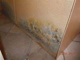 Pictures of Mold Remediation San Diego