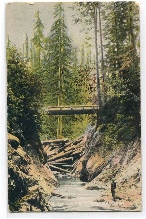 Log Jam Logging Grays Harbor Washington 1911 Postcard United States
