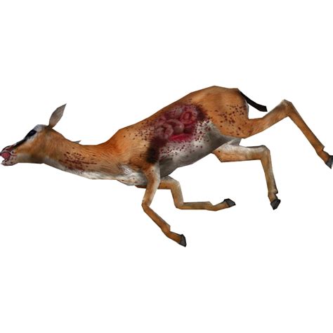 collection of gazelle png pluspng