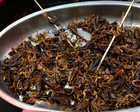 8 Insectos Comestibles Que Puedes Probar En La Ciudad De México