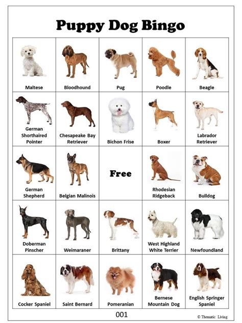 A Z Dog Breed Names