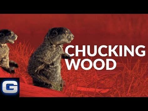 Check spelling or type a new query. Woodchucks Original - GEICO Insurance - YouTube in 2020 | Crochet blanket patterns, The originals