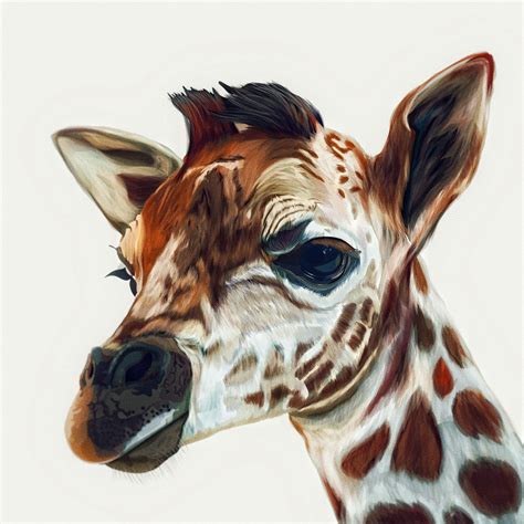 Illustration Giraffe On Behance