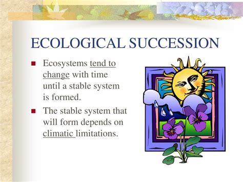 Ppt Ecological Succession Powerpoint Presentation Free Download Id