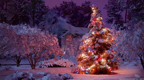 Christmas Tree Snow Wallpaper 73 Images