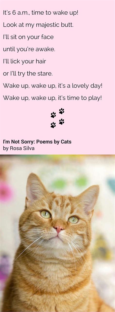 Poem From Im Not Sorry Poems By Cats A Funny Cat Poems Book