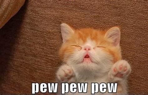 Caterville Pew Pew Pew Cats