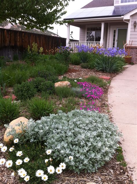 Front Yard Xeriscape Ideas Gleason Completely Converted Her Front