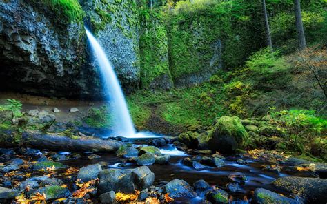 Upper Horsetail Falls Or Ponytail Falls Columbia River Gorge Area Of