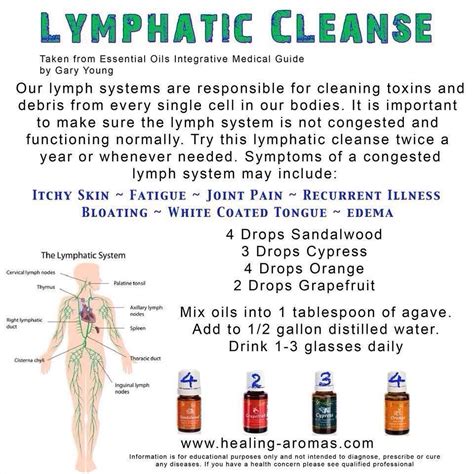 Yl Essential Oils Lymphatic Cleanse Recipe And Chart Essentiële Olie