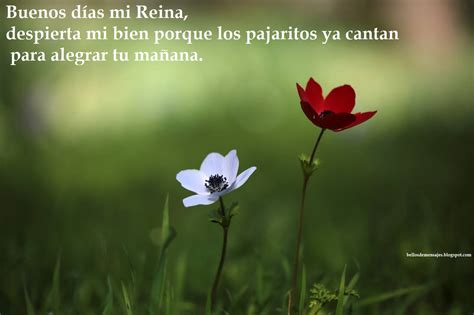 We did not find results for: MENSAJES DE BUENOS DIAS PARA ENAMORAR - BELLOS MENSAJES