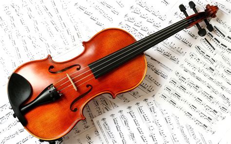 Violin Full Hd Wallpaper And Background Image 2560x1600 Id411204