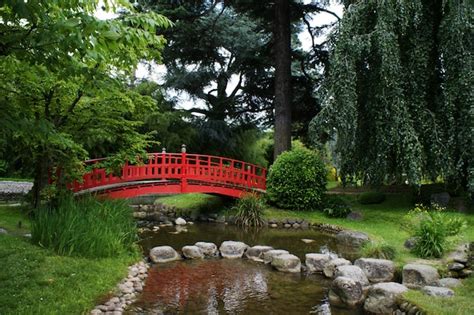 Premium Photo Red Bridge In A Japanese Garden