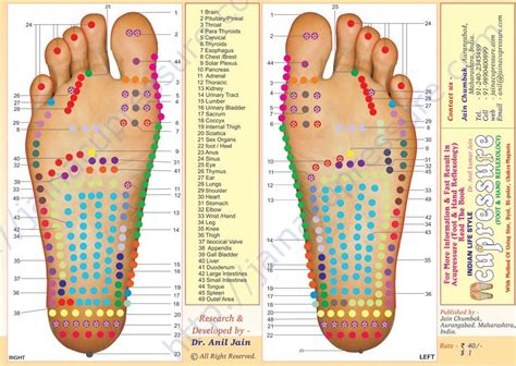 Reflexology Pressure Point Chart Book On Reflexology Magnet Byol Acupressure Jains