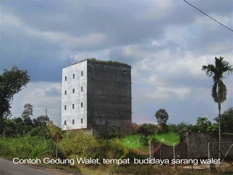 Umumnya, memiliki kemiringan 30 derajat. 70+ Desain Rumah Walet Dari Bahan Kayu Terbaik Dan ...