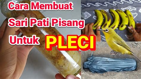 Rasanya manis dan khas, namun sudah mulai jarang. Cara Membuat Sari Pati Pisang Untuk PLECI - YouTube