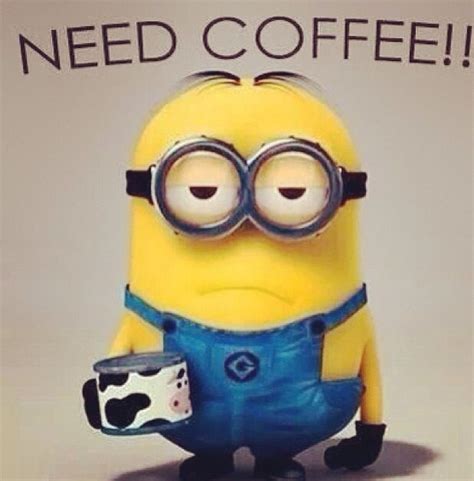 Need Coffee Minion Humor Pinterest