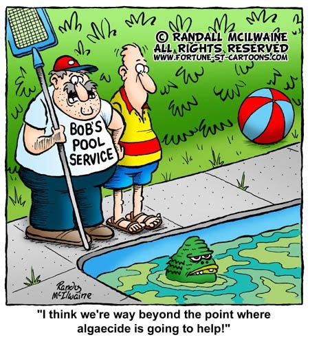Pin By Laura Wojciechowski On Funny Pool Service Pool Maintenance Ww Cartoon