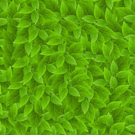 Leaf Pattern Plant Background Sheets Texture Background Design