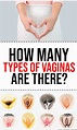 How Many Types Of Vaginas Are There? - LIVE VIBE