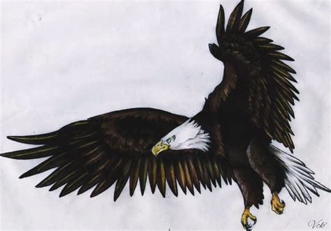 American Bald Eagle Tattoo Design By Theicewitch On Deviantart