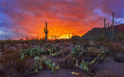 Top 999 Arizona Desert Wallpaper Full Hd 4k Free To Use