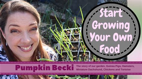 Learn How To Grow Your Own Food At Home Sowing Pricking Out And Planting A Beginners Guide