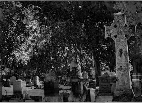 Haunted Graveyard Free Stock Photo Public Domain Pictures
