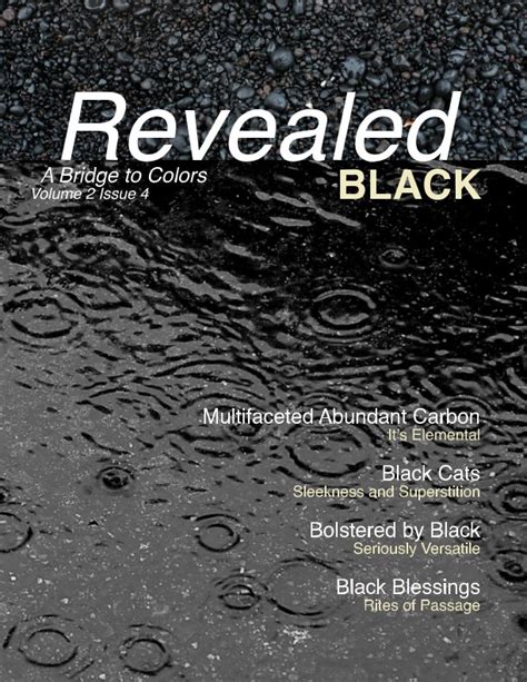 Revealed Colors Vol2 No 4 Black By Patricia Lee Harrigan Blurb Books