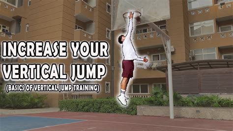 How To Increase Vertical Jump Basics Of Vertical Jump Training