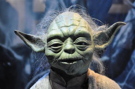 The Wisdom Of Yoda I Understand That This Post May By Rik Arron