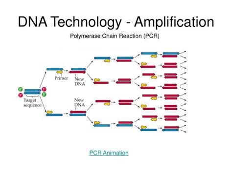Ppt Biotechnology Toolbox For Synthetic Biology Powerpoint