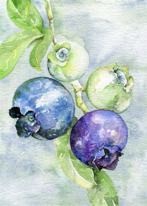 Blueberry Watercolor 8 X 10 Art Print Fruit Illustration Etsy In 2021