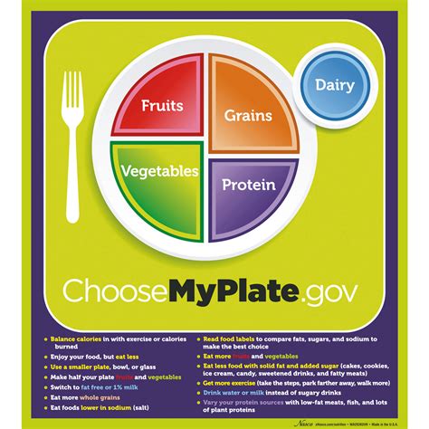 Myplate Poster With Key Phrases 1018319 W44791p Wa29392