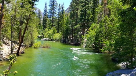 River In Sequoia National Park California Stock Photo Image Of