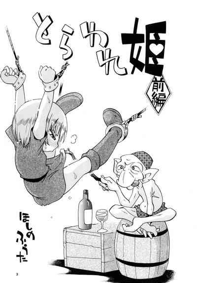 Toraware Hime Zenpen Nhentai Hentai Doujinshi And Manga