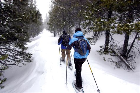 3 Full Moon Snowshoe Hikes Announced In Midway Winter Hiking Winter