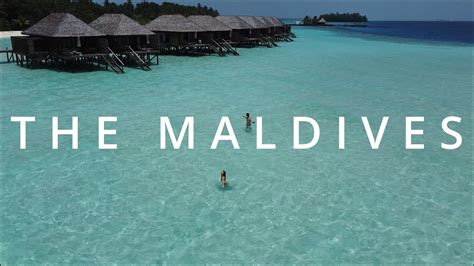 Our First Trip To The Maldives Vlog Veligandu Island Youtube