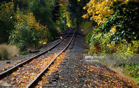 Autumn Train Tracks High Res Stock Photo Getty Images