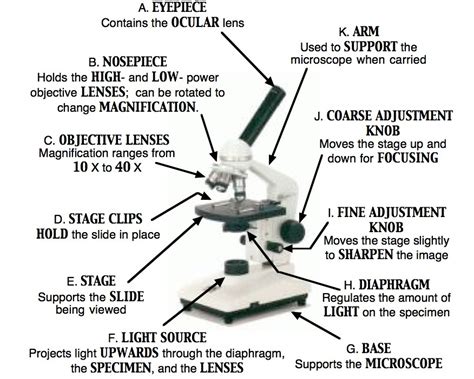 Parts Of A Microscope Quiz