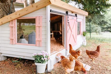 Chicken Coop Interior Design Ideas