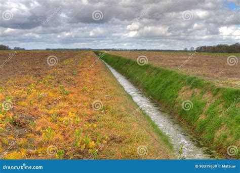Field With Ditch Weed And Crop Killed By Herbicide Stock Image Image