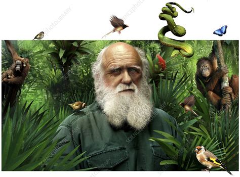 Charles Darwin British Naturalist Stock Image C0096559 Science