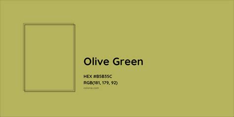 Olive Green Color Codes The Hex Rgb And Cmyk Values That